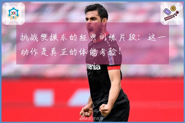 挑战樊振东的经典训练片段：这一动作是真正的体能考验！