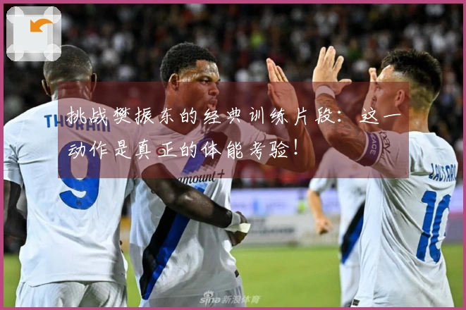 挑战樊振东的经典训练片段：这一动作是真正的体能考验！