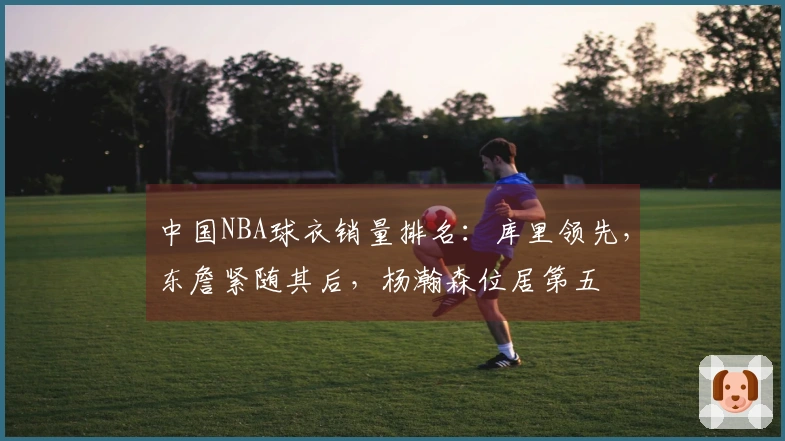 中国NBA球衣销量排名：库里领先，东詹紧随其后，杨瀚森位居第五