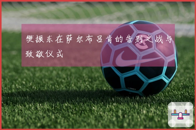 樊振东在萨尔布吕肯的告别之战与致敬仪式