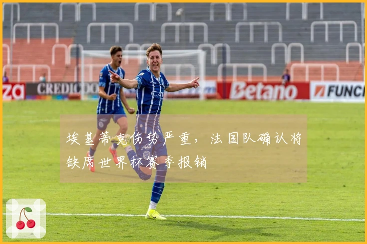 埃基蒂克伤势严重，法国队确认将缺席世界杯赛季报销